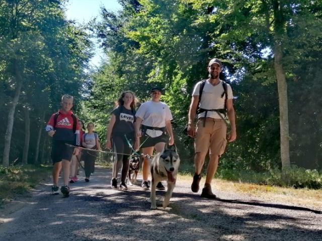 Participer à une activité plein air en famille en Dordogne grâce à un musher pro !