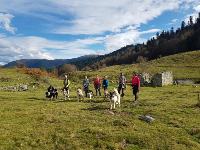 S'équiper et s'habiller pour une cani-randonnée avec Moment Nordique